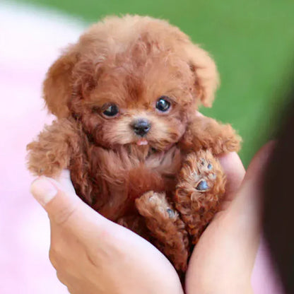 Realistic Robot Puppy🐶(🎄Official NICO Exclusive)🎉